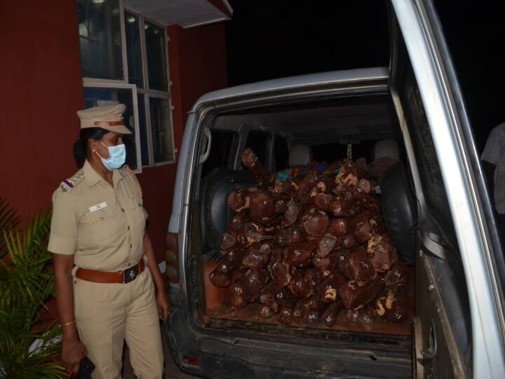 25 lakhs worth , 300 kilograms redsander wood seized from a stationed car near poigai . வேலூரில் ஆளில்லாத காரில் இருந்து 25 லட்சம் மதிப்பிலான  செம்மர கட்டைகள் பறிமுதல்