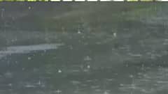 રાજ્યમાં બે સપ્તાહ બાદ ફરી ચોમાસુ સક્રિય, દક્ષિણ ગુજરાતમાં વરસાદની આગાહી