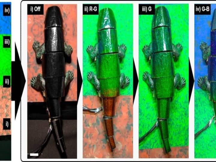 Color-changing robo-chameleon showcases promising camouflage tech Robo-chameleon| இடத்திற்கு இடம் நிறமாறும் ரோபோ பச்சோந்தி  - ஒரு க்யூட் கண்டுபிடிப்பு!