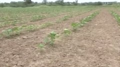 રાજ્યમાં ખેડૂતોને સિંચાઈનું પાણી આપવા અંગે નાયબ CM નીતિન પટેલે શું કહ્યું?,જુઓ ગુજરાતી ન્યૂઝ