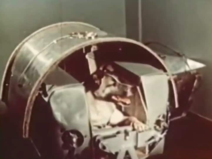 Monkeys, Apes and Dogs in orbit: What Happen to Laika, the Space Dog