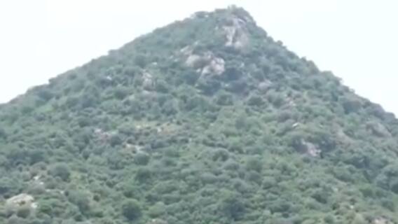 બનાસકાંઠાઃ જિલ્લાને લીલોછમ બનાવવા માટે બનાસ ડેરીએ શરૂ કર્યું વૃક્ષારોપણનું મહાઅભિયાન