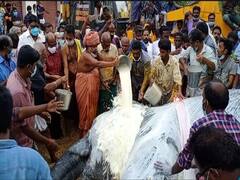 54 ஆண்டு உறவு... குன்றக்குடி யானை சிவகாமியின் பிரிவு... அடிகளார் உள்ளிட்டோர் அஞ்சலி!