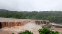 ડાંગ અને સાપુતારામાં સારો વરસાદ નોંધાયો, અંબિકા, ખાપરી, પુર્ણા નદી બે કાંઠે વહેતી થઈ