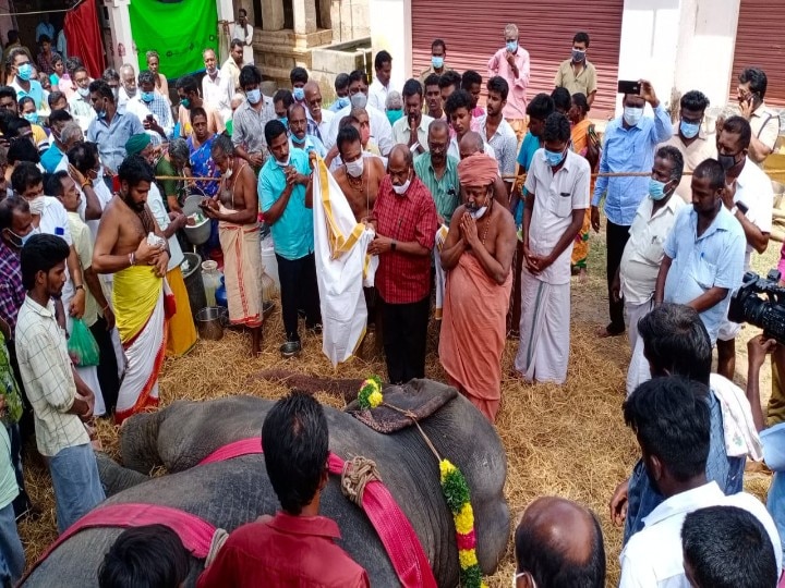 54 ஆண்டு உறவு... குன்றக்குடி யானை சிவகாமியின் பிரிவு... அடிகளார் உள்ளிட்டோர் அஞ்சலி!