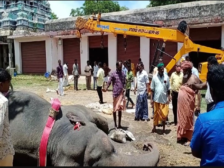 54 ஆண்டு உறவு... குன்றக்குடி யானை சிவகாமியின் பிரிவு... அடிகளார் உள்ளிட்டோர் அஞ்சலி!