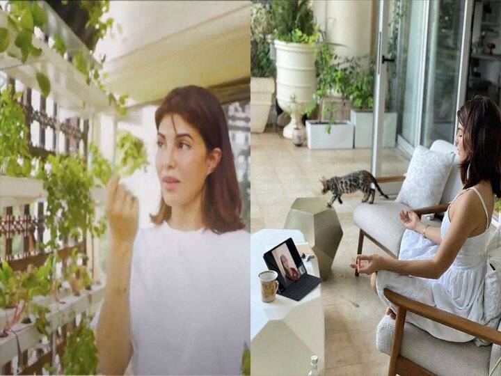 जैकलीन फर्नांडीज ने अपने नए वीडियो में बड़े अपार्टमेंट को दिखाया. वीडियो में वो अपनी बालकनी को दिखाती हैं जहां उन्होंने बालकनी में बगीचा बनाया हुआ है. इस बगीचे को देखकर तो यकीन हो जाता है कि ये सच में वही घर है जिसमें प्रियंका रहती थीं.