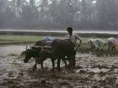 Maharashtra Rain Update  : शेतकऱ्यांसाठी चांगली बातमी, पुढील दोन आठवडे राज्यात चांगला पाऊस होणार