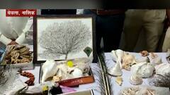 Nashik : प्राण्यांच्या अवयवांपासून वस्तूंची निर्मिती, नाशिक वनविभागाकडून एकाला अटक