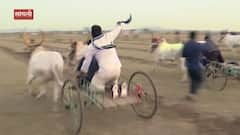 Sangli Web Exclusive : बैलगाडा शर्यतींचं अर्थकारण, सर्जा-राजाची कथा आणि व्यथा : ABP Majha