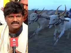 पडळकरांचा राज्य सरकारला चकवा; प्रशासनाचा विरोध झुगारत सांगलीतील झरे गावात बैलगाडा शर्यत