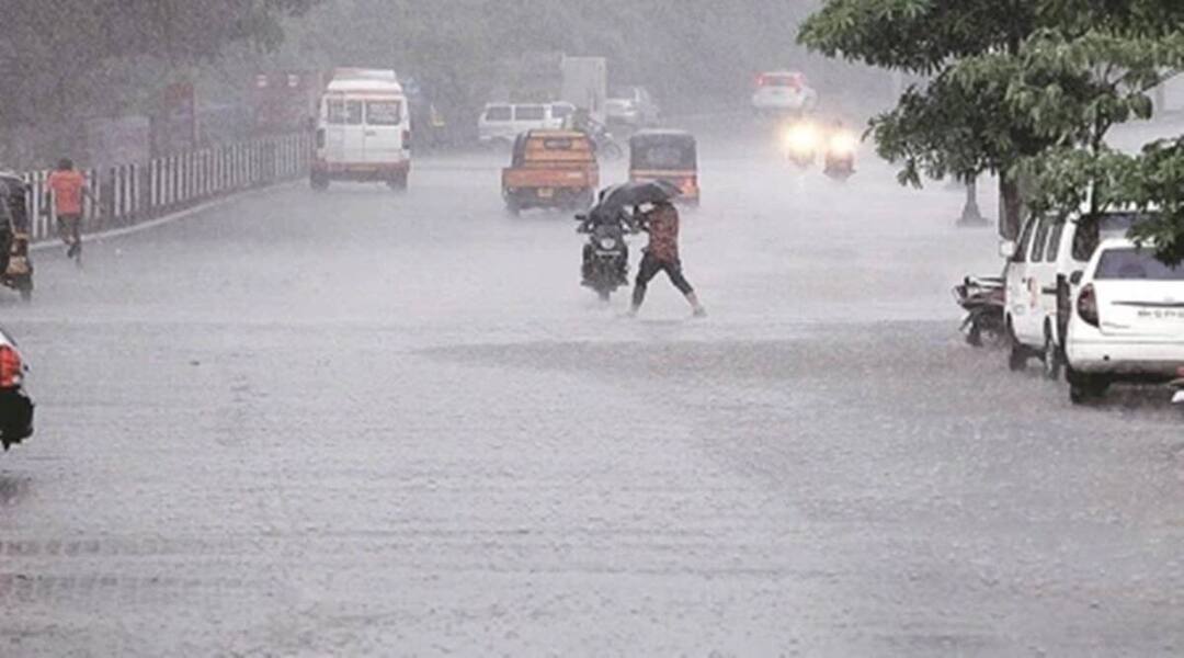 Maharashtra Rain : राज्यभरात अनेक ठिकाणी पावसाची हजेरी, शेतकरी सुखावला Maharashtra Rain Mumbai rain update weather report today live update Maharashtra Rain : राज्यभरात अनेक ठिकाणी पावसाची हजेरी, शेतकरी सुखावला