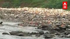 Mumbai : Mithi नदी स्वच्छ करण्यासाठी 500 कोटी रुपयांचा प्रकल्प,मलजल रोखण्यासाठी 6 किमी बोगदा बांधणार