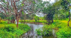 In Pics: ఇది సిద్దిపేటా? కశ్మీరా? హరీశ్ రావు ట్వీట్ చేసిన ఫోటోలకు ఆశ్చర్యపోతున్న నెటిజన్లు