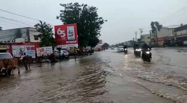 Heavy Rainfall in Amreli district અમરેલી-રાજકોટના ગામડાઓમાં ધોધમાર વરસાદ, લીલીયાની નાવલી નદીમાં આવ્યું પુર