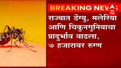 Maharashtra : राज्यात डेंग्यू, मलेरियाचे रुग्ण वाढले ABP Majha