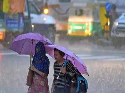 rain update in gujrat રાજ્યમાં વરસાદી માહોલ, જાણો ક્યાં જિલ્લામાં આગામી 3 દિવસ દિવસ પડશે વરસાદ
