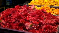 Dadar Flower Market : फुलांच्या मागणीत घट, उत्सवावर मर्यादा आल्यामुळे शेतकऱ्यांचं नुकसान, फुलांचे दरही कोसळले