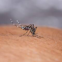 VIDEO : टॉप 25 न्यूज बुलेटिन : राज्यात डेंग्यू वाढतोय, काळजी घ्या! : 21 ऑगस्ट 2021 : ABP Majha