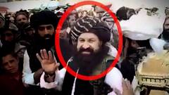 तालिबानींनी भारतीयांचं अपहरण केल्याच्या बातमीचं वास्तव काय? घटनेमागे Pakistan चा हात?