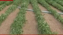 મારુ ગામ મારી વાત: રાજકોટ જિલ્લાના તરવડા ગામના લોકોની સમસ્યા, જુઓ ગુજરાતી ન્યૂઝ