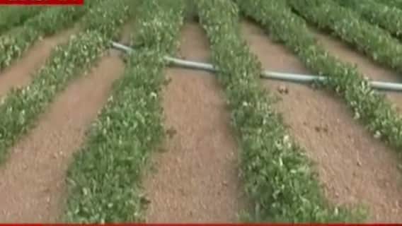 મારુ ગામ મારી વાત: રાજકોટ જિલ્લાના તરવડા ગામના લોકોની સમસ્યા, જુઓ ગુજરાતી ન્યૂઝ