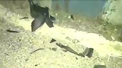 Kasba Clash: প্রোমোটিংয়ের বিবাদ ঘিরে দুই গোষ্ঠীর সংঘর্ষ কসবায়, বোমাবাজি, আহত ৩ । Bangla News