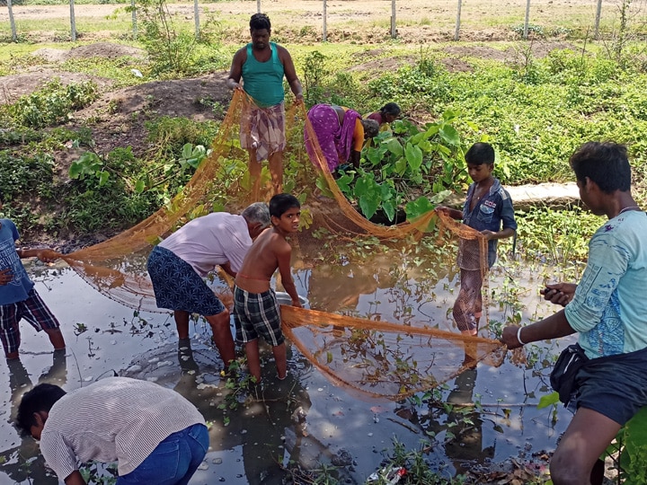 தஞ்சையில் சக்கைபோடு போடும் நாவல் பழ விற்பனை..!- சர்க்கரை நோயாளிகளை டார்கெட் செய்யும் வியாபாரிகள்