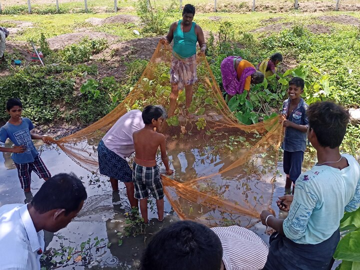 தஞ்சையில் சக்கைபோடு போடும் நாவல் பழ விற்பனை..!- சர்க்கரை நோயாளிகளை டார்கெட் செய்யும் வியாபாரிகள்