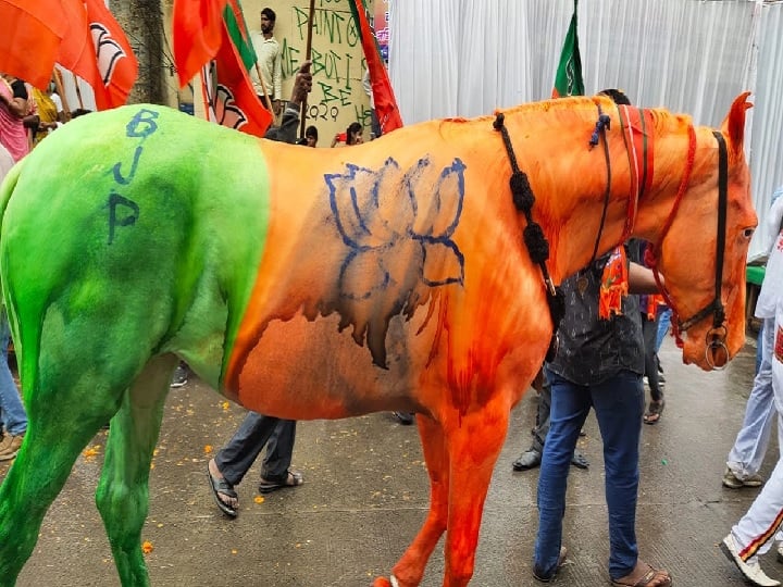 horse was painted in BJP flag colors for Jyotiraditya Scindia Jan Ashirwad Yatra, now police is searching horse owner सिंधिया की यात्रा के लिए BJP के झंडे के रंग में रंगा गया घोड़ा,  NGO की शिकायत पर अब मालिक को ढूंढ रही पुलिस