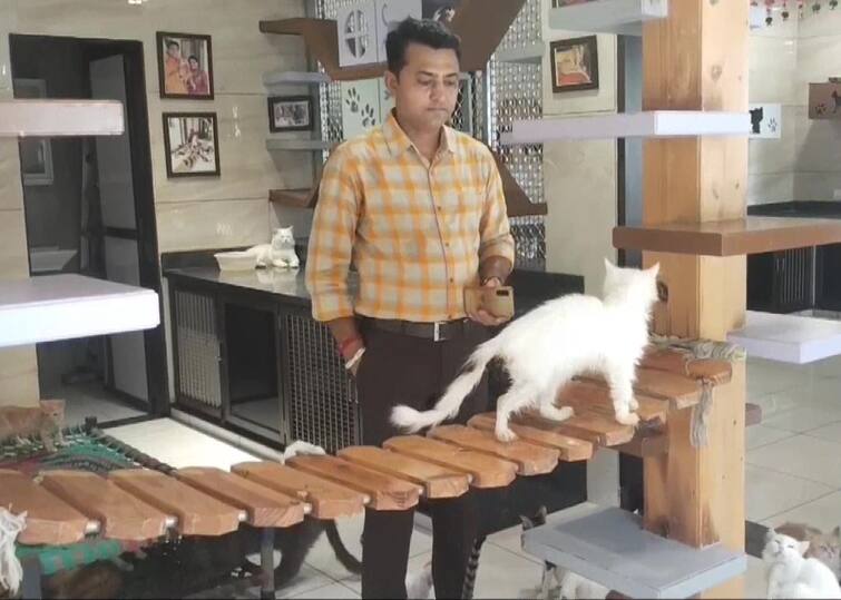 अजब गजब: गुजरात के कच्छ में एक युवक ने खोला ‘कैट हाउस’, AC में रहती हैं 200 से ज्यादा बिल्लियां
