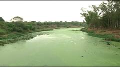 Nashik Namami Goda : नाशिकमध्ये नमामी गोदा प्रकल्प राबवणार ; ABP Majha