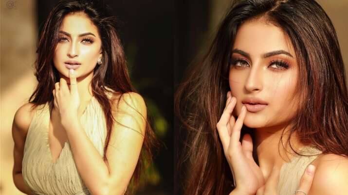 पलक ने आगे कहा, मैं टीवी शो के जरिए कभी अपना डेब्यू नहीं करना चाहती थीं. मेरी मां ने यहां बहुत नाम कमाया है और इस वजह से मुझे ये नर्वसनेस रही कि मैं उम्मीदों पर खरी उतर पाऊंगी या नहीं?