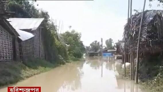 Bangla News: 'ত্রাণেও আমরা-ওরা', মালদার হরিশ্চন্দ্রপুরে জমা জলে দাঁড়িয়েই বিক্ষোভে গ্রামবাসীরা