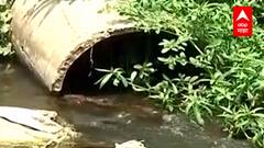 NASHIK : नमामि गंगेच्या धर्तीवर 'नमामि गोदावरी प्रकल्प', आगामी निवडणुकीत भाजपसाठी बुस्टर डोस?