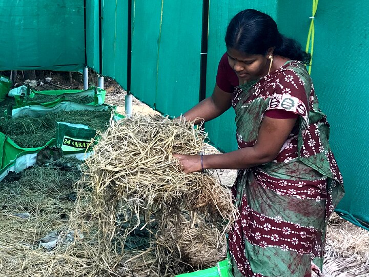 அரியலூர் டூ அமேசான்... டோர்டெலிவரியில்  மண்புழு உரம் : அசத்தும் விவசாயி மகள் அழகு தீரன்!