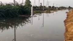 પાટણઃ મેમદાબાદ નજીક કેનાલ ઊભરાતા ખેડૂતોને નુકસાન વેઠવાનો આવ્યો વારો