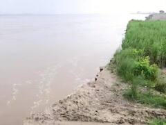 आजमगढ़: फिर बढ़ा घाघरा नदी का जलस्तर, डेंजर जोन में मटिया रिंग बांध