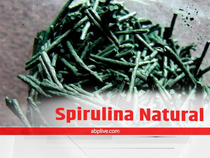 Super Food Spirulina Health Benefits Natural Source Of Protein, Vitamin B12, A, E, C And Iron Spirulina Multivitamin: प्रोटीन, विटामिन बी-12 और आयरन की कमी को दूर करता है स्पिरुलिना, सेहत के लिए है ‘सुपरफूड’