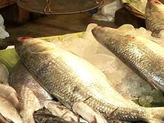 নিয়মিত মাছ খেলে একাধিক রোগ রুখতে পারবেন আপনি নিজেই, জানাচ্ছে গবেষণা