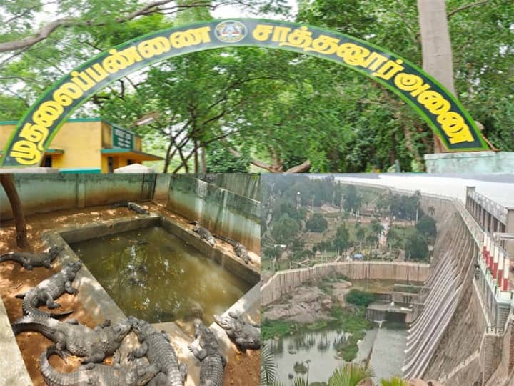 Sathanur Dam opening after 15 days Tourists allowed inside only if wearing a mask Public Works Department notice சாத்தனூர் அணையை பார்வையிட 15 நாட்களுக்கு பிறகு மீண்டும் பொதுமக்களுக்கு அனுமதி...!