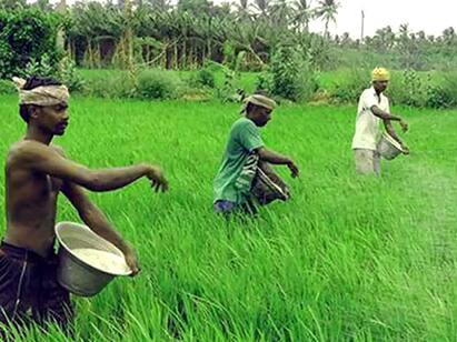 Theni: A go? Will both go? Farmers suffering from paddy farming in trouble உயர்த்தப்படாத முல்லை பெரியாறு அணை நீர்மட்டத்தால் வாழ்வாதாரம் இழக்கும் தேனி விவசாயிகள்...!
