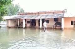 UP Flood News: सिद्धार्थ नगर में राप्ती नदी खतरे के निशान से ऊपर, गांव बने टापू, हालात खराब