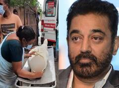 Villupuram Incident: “இந்தக் கீழ்மையில் இருந்து கட்சிகள் விடுபட வேண்டும்” - விழுப்புரம் சம்பவத்தில் கமல் காட்டம்!