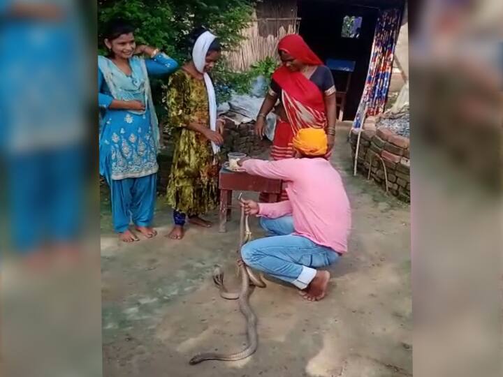 Chapra tying rakhi to pair of snakes from sister then brother died due to snake bite ann छपराः बहन से सांपों के जोड़े को राखी बंधवा रहा था भाई, नाग के डंसने से युवक की मौत