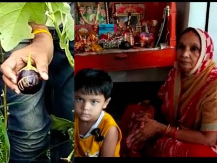 Brinjal named Ram found on a brinjal tree in Ayodhya in Up owner started worshiping ANN यूपी: अयोध्या में बैंगन के पेड़ पर मिला 'राम' नाम लिखा बैंगन, मालिक ने शुरू की पूजा अर्चना