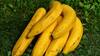 Banana Eating Benefits: রোজকার ফলের তালিকায় কলা রাখা স্বাস্থ্যের পক্ষে উপকারী