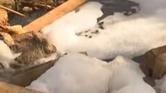 રાજકોટઃ પ્રદુષણના કારણે પાકને નુકસાન થતા કિસાન સંઘે જિલ્લા કલેક્ટર કચેરી ખાતે કર્યો વિરોધ