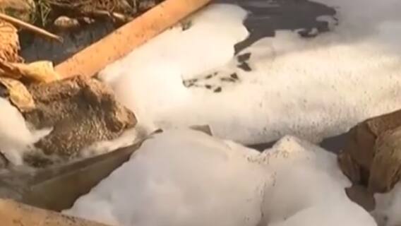 રાજકોટઃ પ્રદુષણના કારણે પાકને નુકસાન થતા કિસાન સંઘે જિલ્લા કલેક્ટર કચેરી ખાતે કર્યો વિરોધ