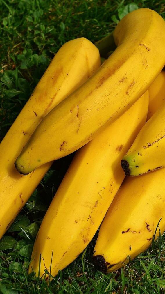 নিয়মিত কলা খাওয়ার উপকারিতা